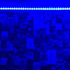 Meet your Posher, Sophia